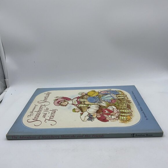 The Adventures of Strawberry Shortcake and Her Friends Hardcover 1980 - Picture 8 of 14